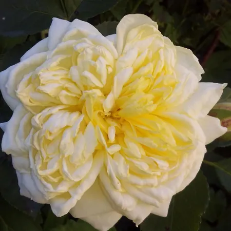 Wilmarie - Zuhause Auf Zeit In Herzlicher Atmosphäre Rottweil